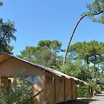 Les Pins D'oléron