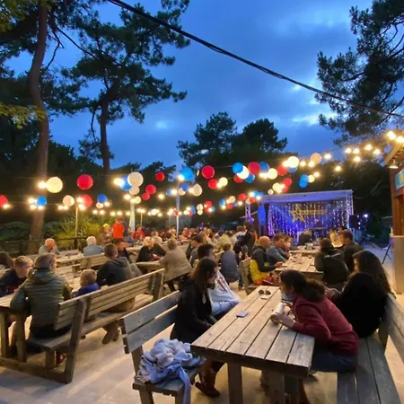 Les Pins D'oléron *