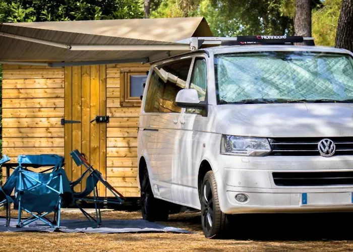 Les Pins D'oléron *