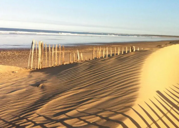 Les Pins D'oléron Camping