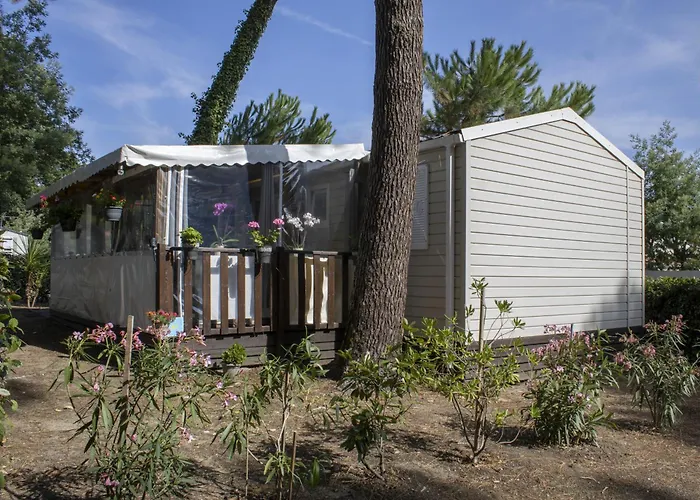 Camping Les Pins D'oléron *