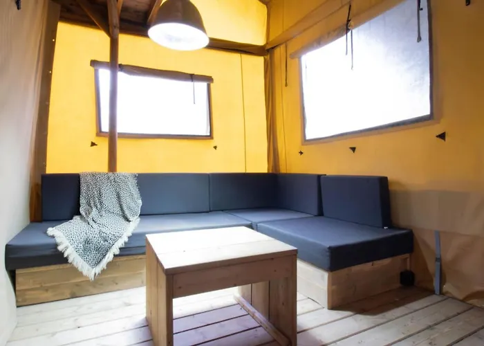 Les Pins D'oléron *